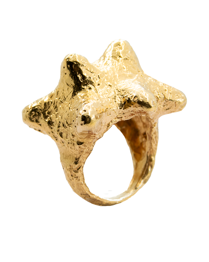 Fotón de PINXON DORADO BY APREELS X TARTI