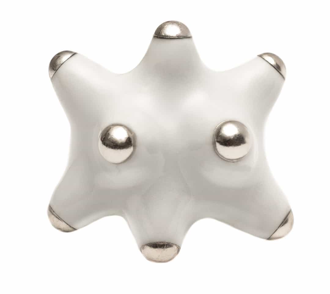 Fotón de Pinxón blindao gray