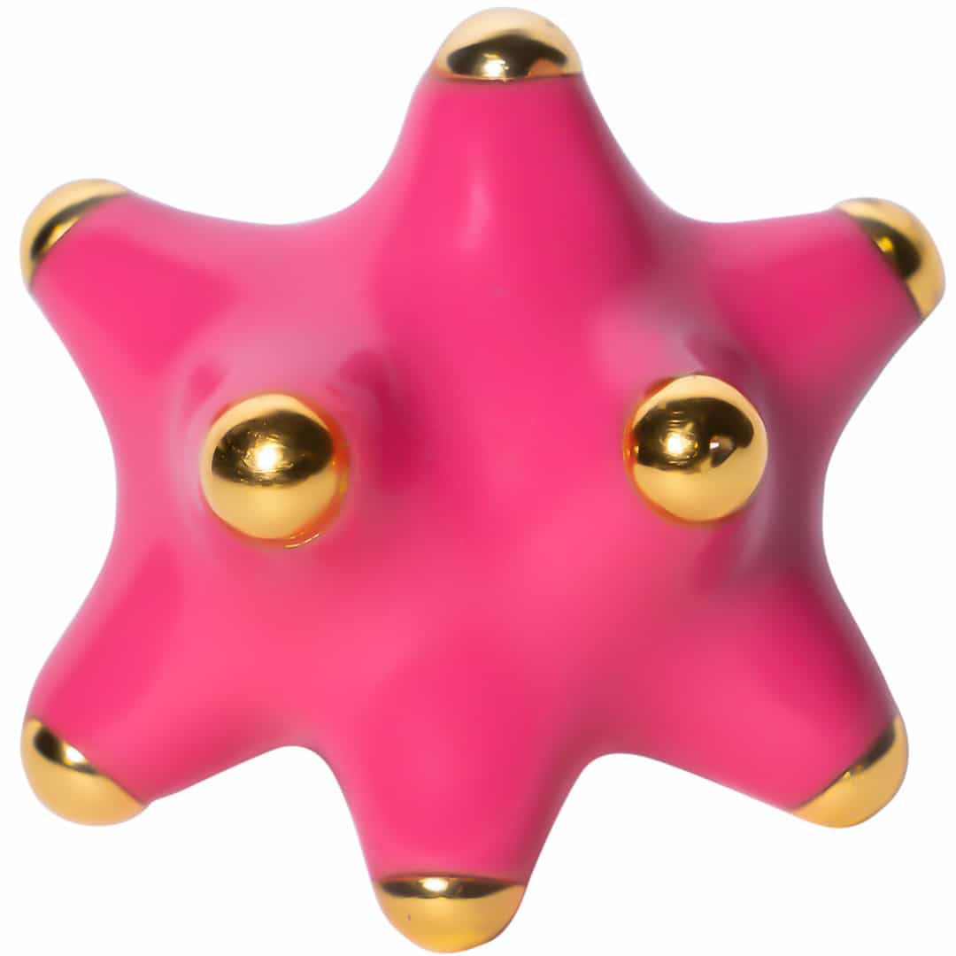 Fotón de Pinxon chicloso