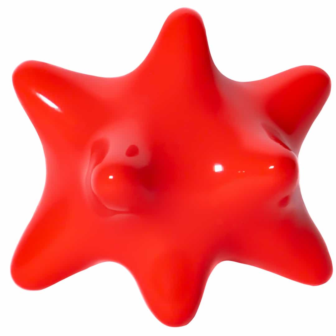 Fotón de Pinxón gambón