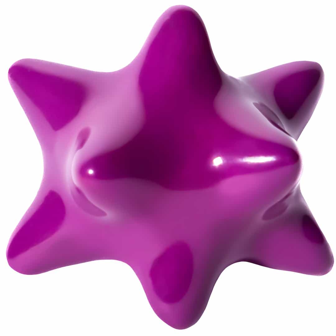 Fotón de Pinxón lunar