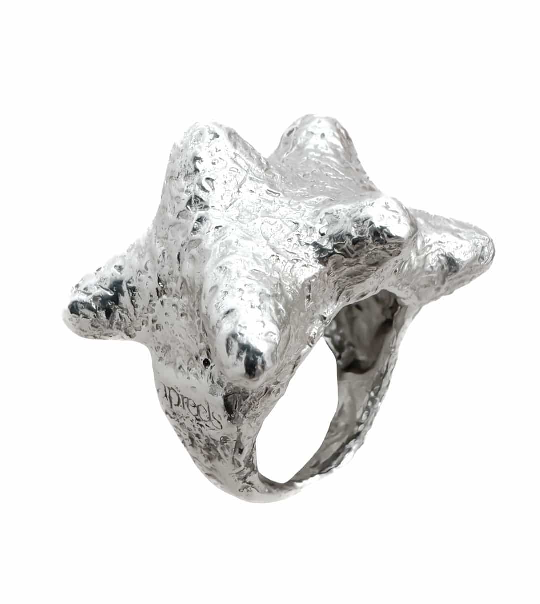 Fotón de PINXON PLATEADO BY APREELS X TARTI