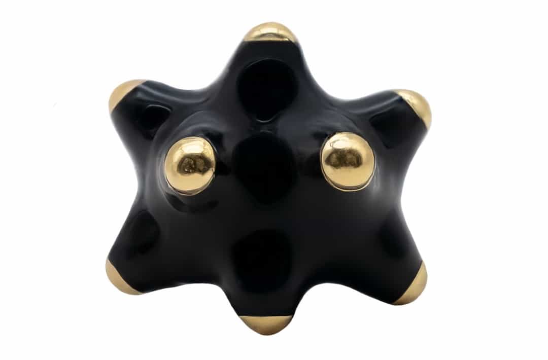 Fotón de Pinxón Blindao black dorao