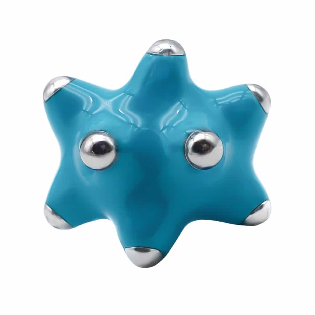 Fotón de Pinxón acuático blindao