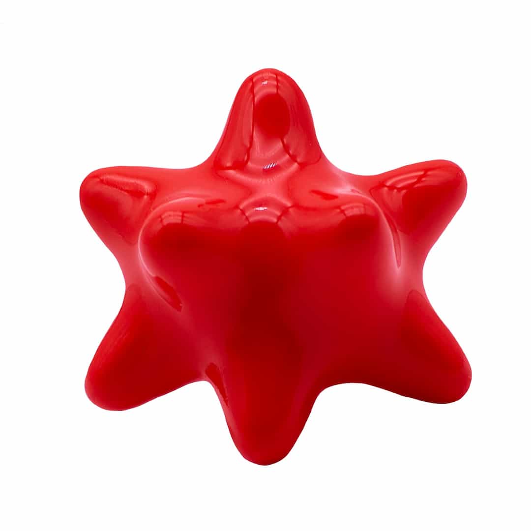 Fotón de Megapinxón gambón